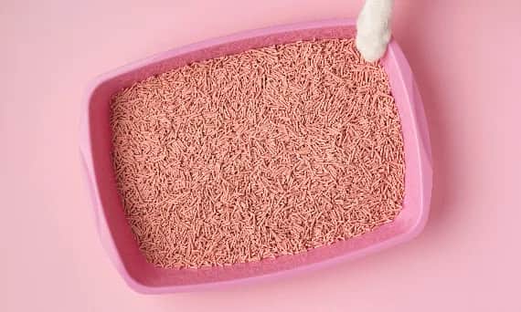 Jak często i skutecznie czyścić kuwetę, by uniknąć problemów?