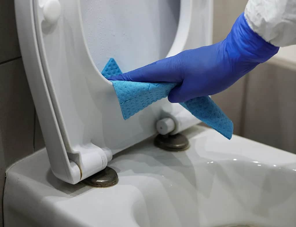 Skuteczne sposoby na to, czym czyścić toaletę bez chemii
